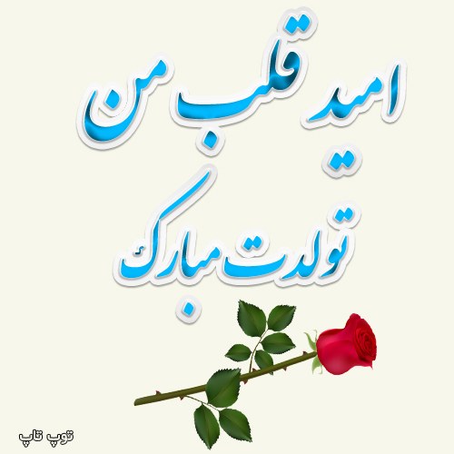 عکس تولد برادرزاده ی دختر + متن