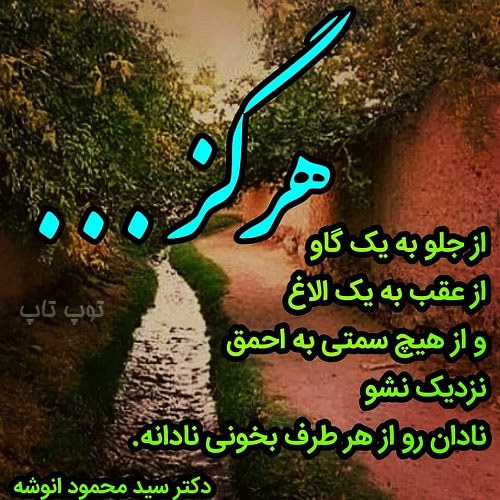 شعر درباره نادانی مردم