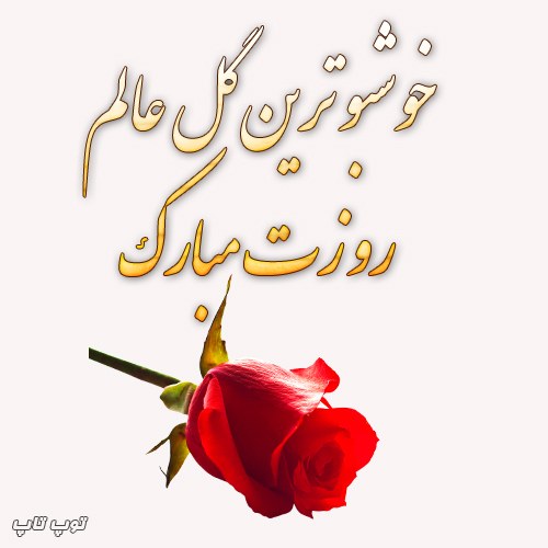 عکس نوشته تبریک روز زن به آبجی جونم