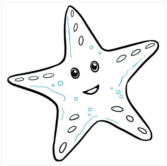 آموزش نقاشی ستاره دریایی مرحله هشتم
