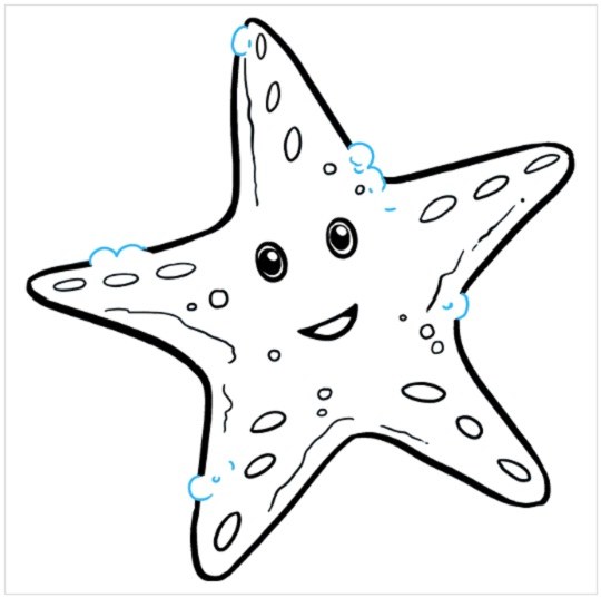 چگونگی نقاشی ستاره دریایی مرحله نهم