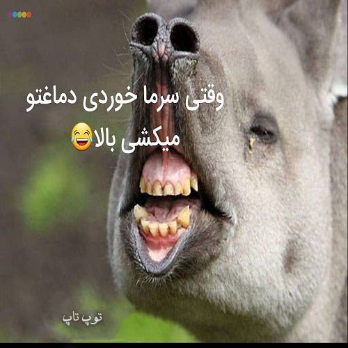 عکس نوشته خنده دار سرماخوردگی