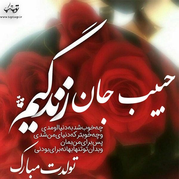 عکس نوشته تولد به اسم حبیب