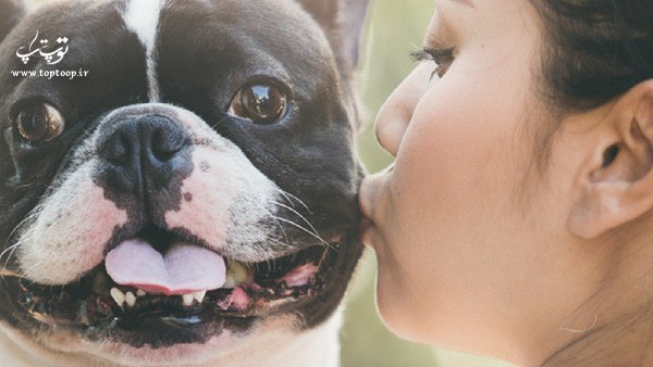 فهمیدن زبان سگ ها ، درک رفتار سگ ها ، چگونه با زبان سگ ها آشنا شویم