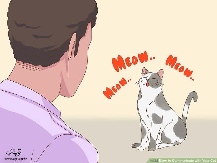 بررسی میو میو کردن گربه ها
