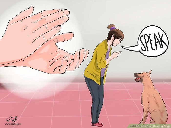 آموزش جلوگیری از پارس سگ