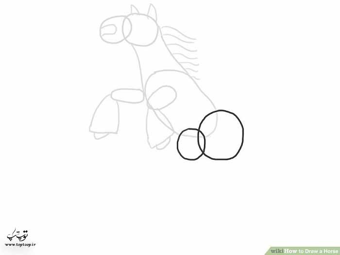 چگونکی طراحی اسب