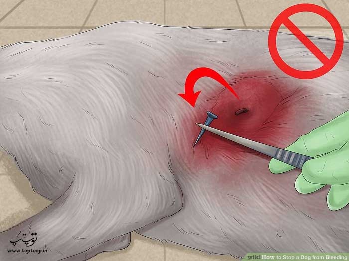 خارج کردن جسم از بدن سگ سبب تشدید خونریزی می شود