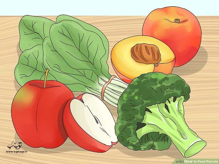 استفاده از میوه و سبزیجات تازه در رژیم غذایی طوطی
