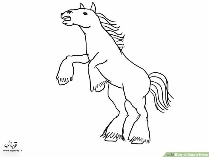 آموزض تصویری رسم اسب