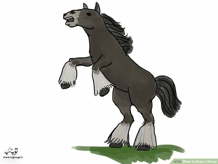 چگونگی نقاشی یک اسب روی دوپا