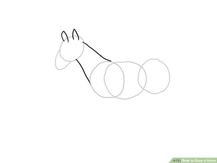 چطور یک اسب در حال حرکت طراحی کنیم