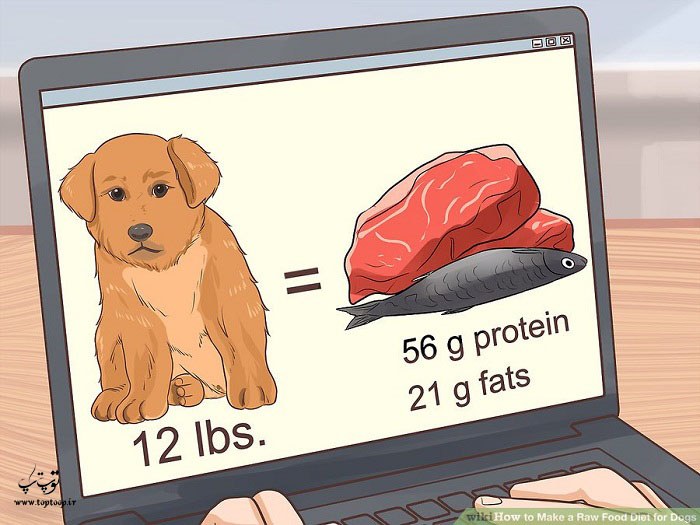 تحقیق در مورد رژیم غذایی خام برای سگ