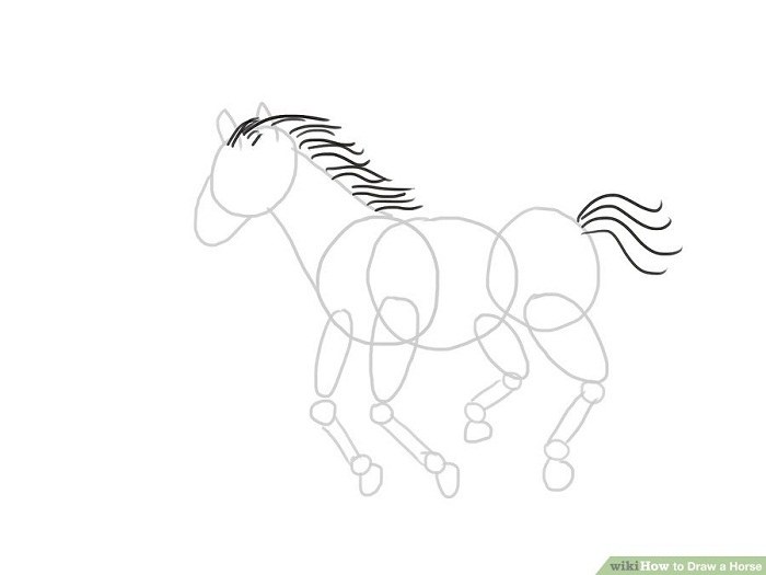 طراحی اسب