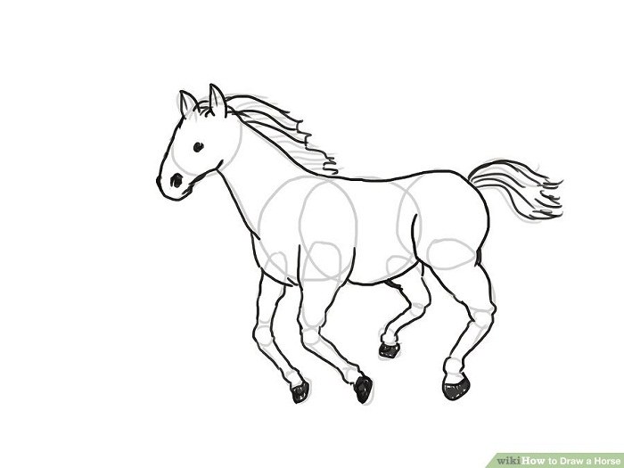 آموزش نقاشی اسب تصویری