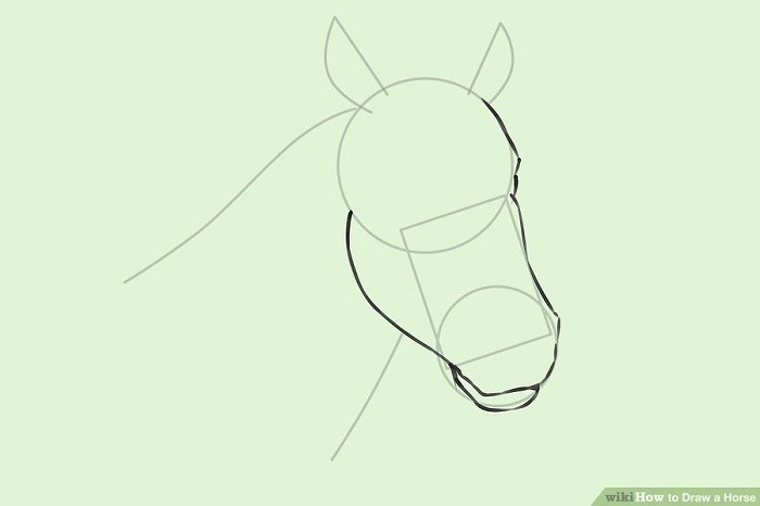 چگونه سر اسب را نقاشی کنیم