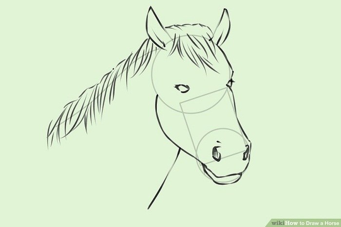 آموزش نقاشی واقعی از سر اسب