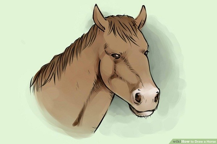 چطور یک اسب زیبا طراحی کنیم؟