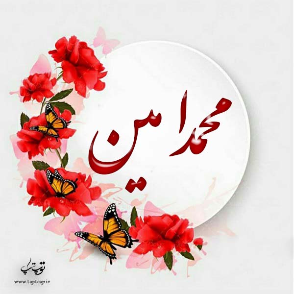 لوگوی اسم محمدامین