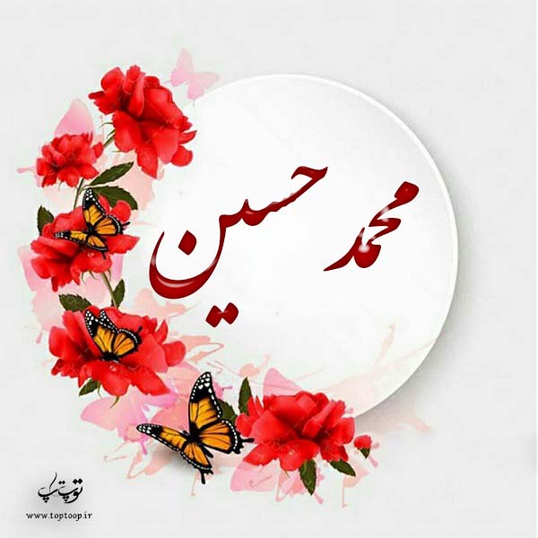 لوگوی اسم محمدحسین