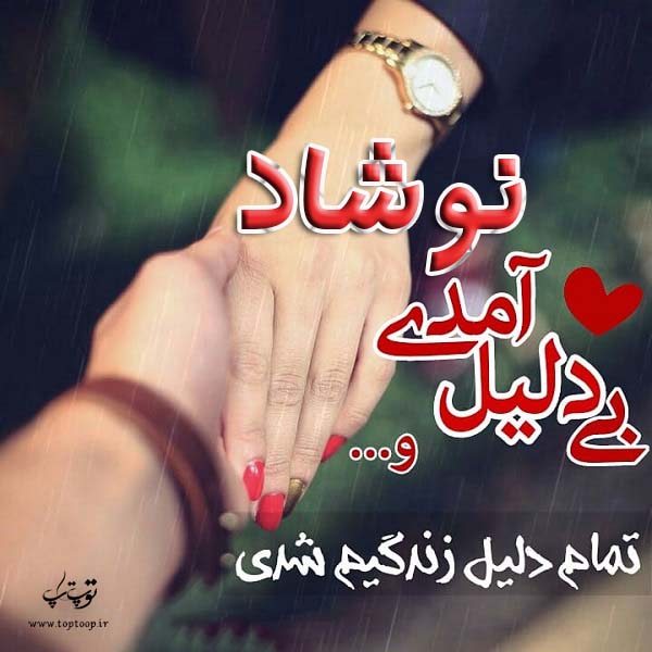 عکس نوشته عاشقانه اسم نوشاد