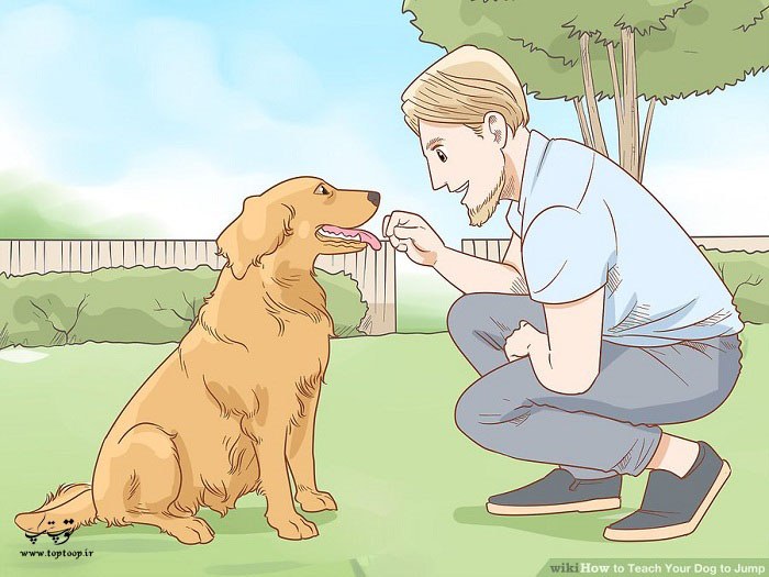 آموزش دستور پریدن به سگ