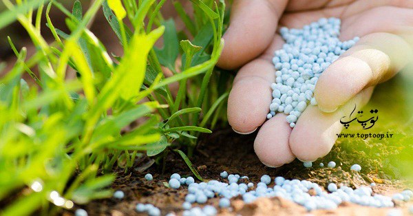 تعبیر خواب کود شیمیایی و حیوانی تعبیر خواب کود شیمیایی و حیوانی