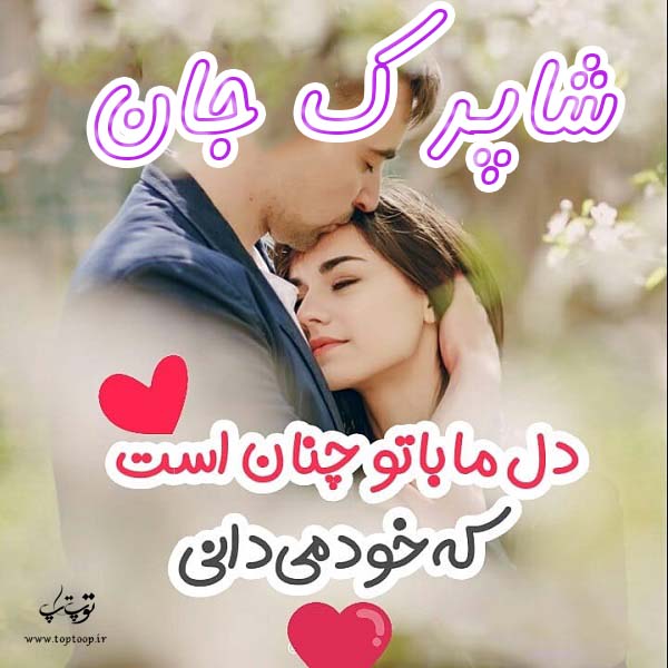 عکس نوشته اسم شاپرک برای پروفایل