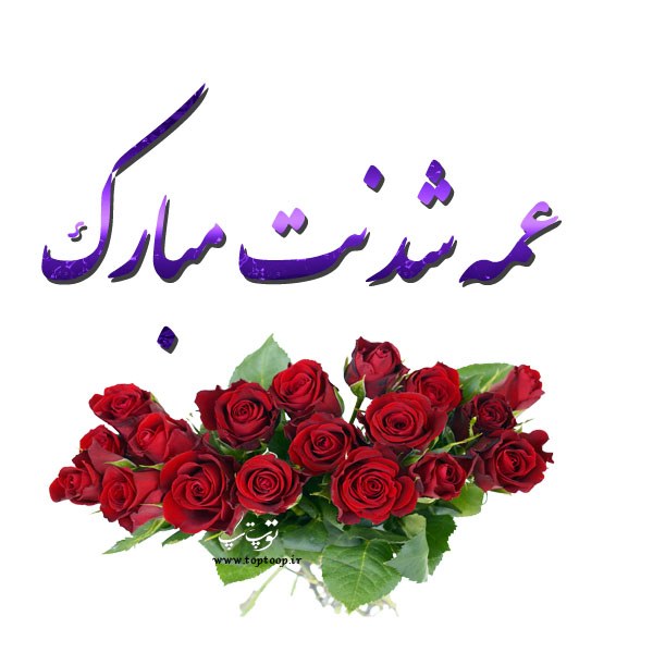 عمه ، شعر عمه ، شعر تبریک عمه شدن