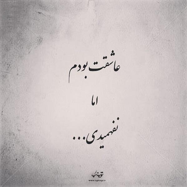 عکس نوشته نفهمیدی عاشقتم