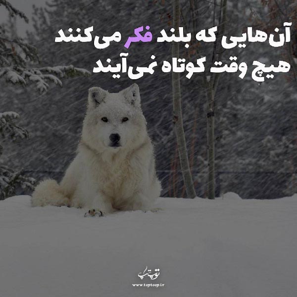 عکس نوشته در مورد کوتاه امدن