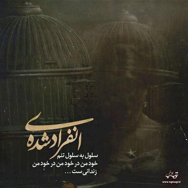 عکس نوشته انفرادی شده سلول ب سلول تنم
