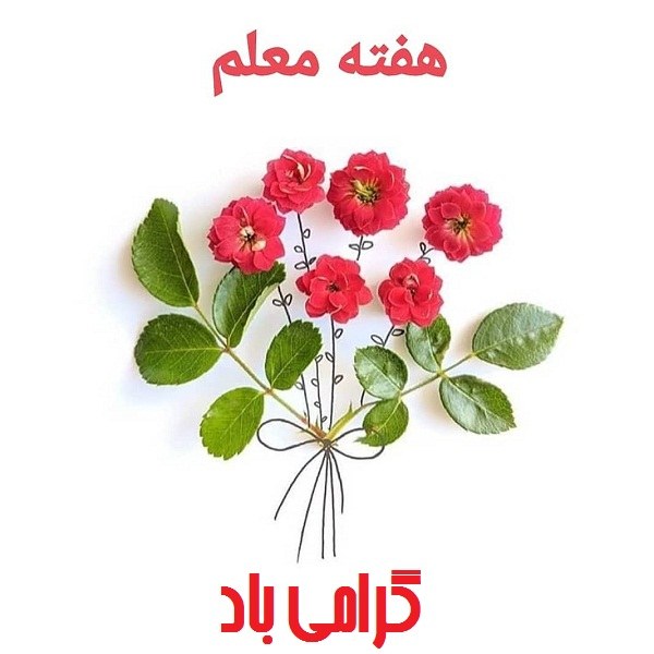 هفته ی معلم گرامی باد عکس