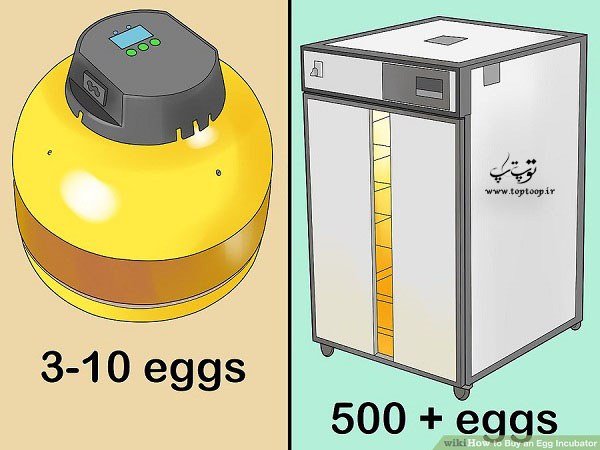 خرید دستگاه جوجه کشی نسبتا بزرگ