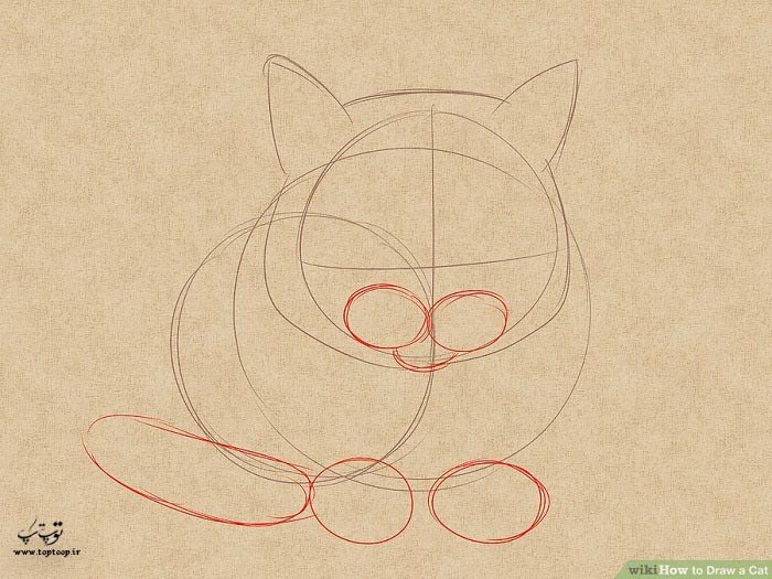 چگونه گربه نقاشی کنیم