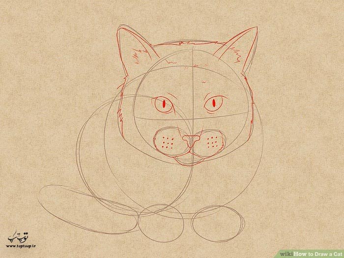 چگونه یک گربه واقعی رسم کنیم