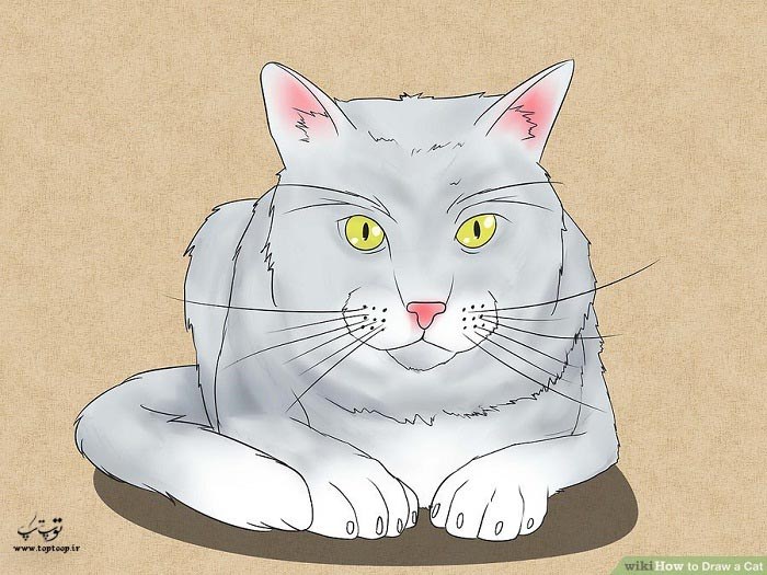چگونه یک گربه نقاشی کنیم ، رسم گربه + عکس