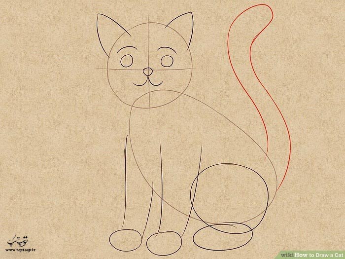 آموزش تصویری رسم یک گربه
