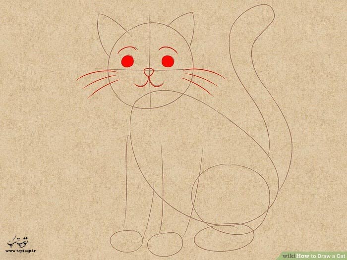 آموزش نقاشی زیبا از گربه