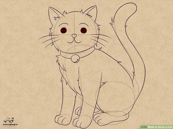 چگونه گربه نقاشی کنیم