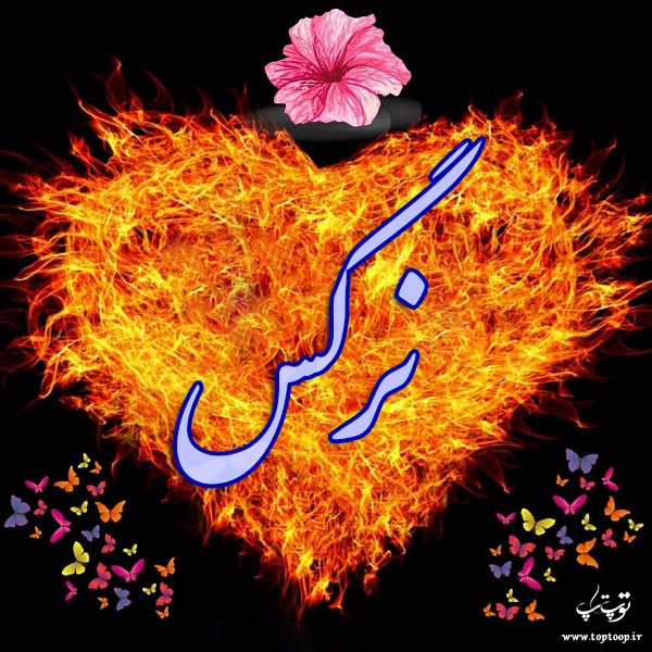 عکس نوشته نام نرگس