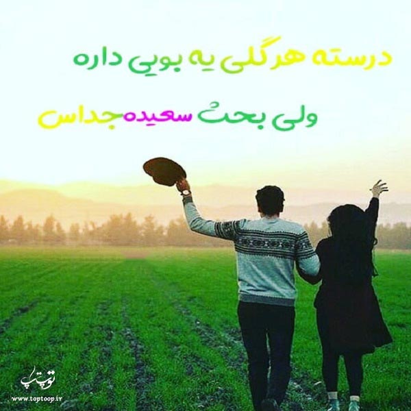 تصاویر اسم سعیده