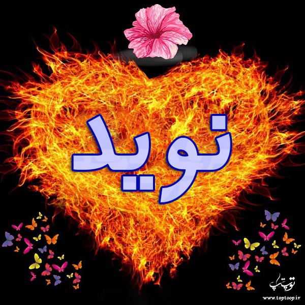 عکس نوشته با اسم نوید