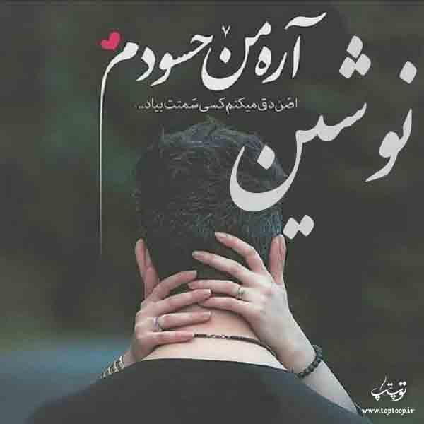 عکس نوشته نام نوشین