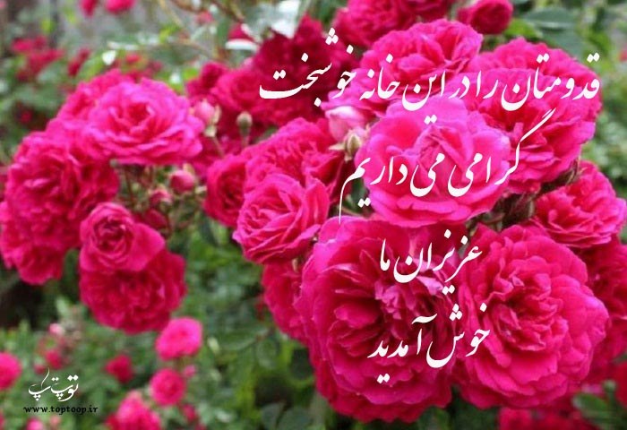 شعر برای خوش آمدگویی به عروس و داماد