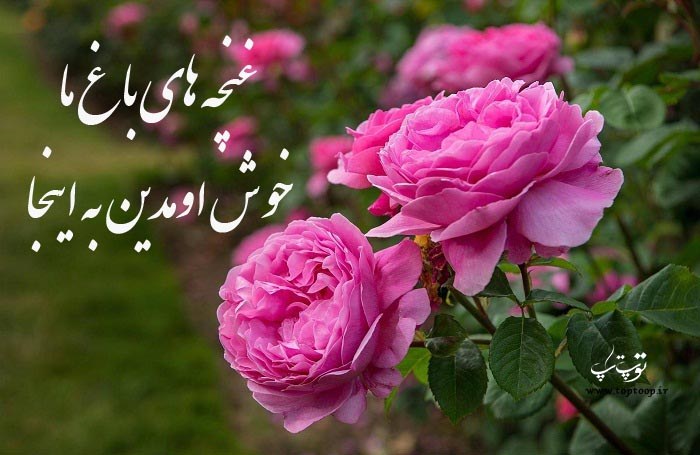 شعر خوش آمدی گویی برای ورود بچه ها به مهد کودک