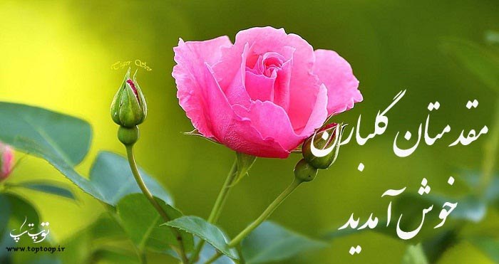 شعر برای خوش آمدی گویی به حجاج و زائران