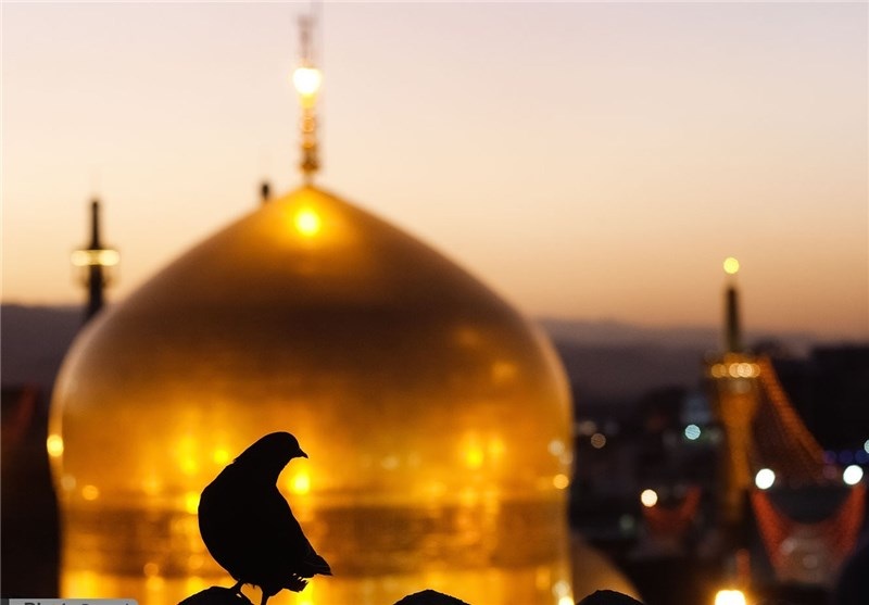 تحقیق درباره ی یا ضامن آهو