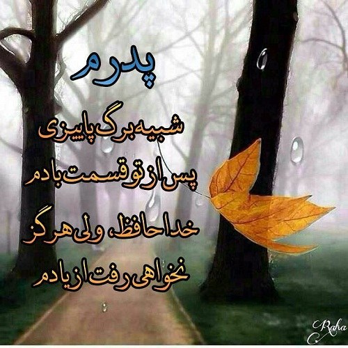 عکس نوشته خداحافظ پدرم