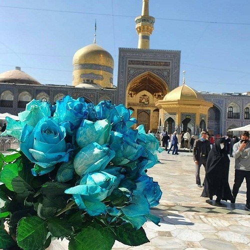 امام رضا جان آرزو دارم